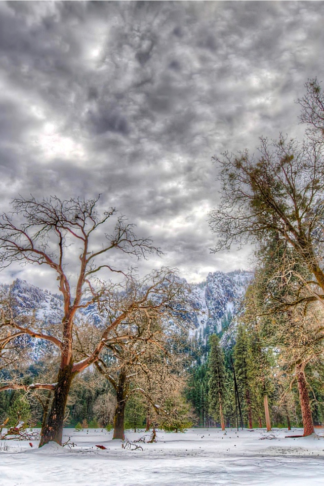 Зима в национальном парке