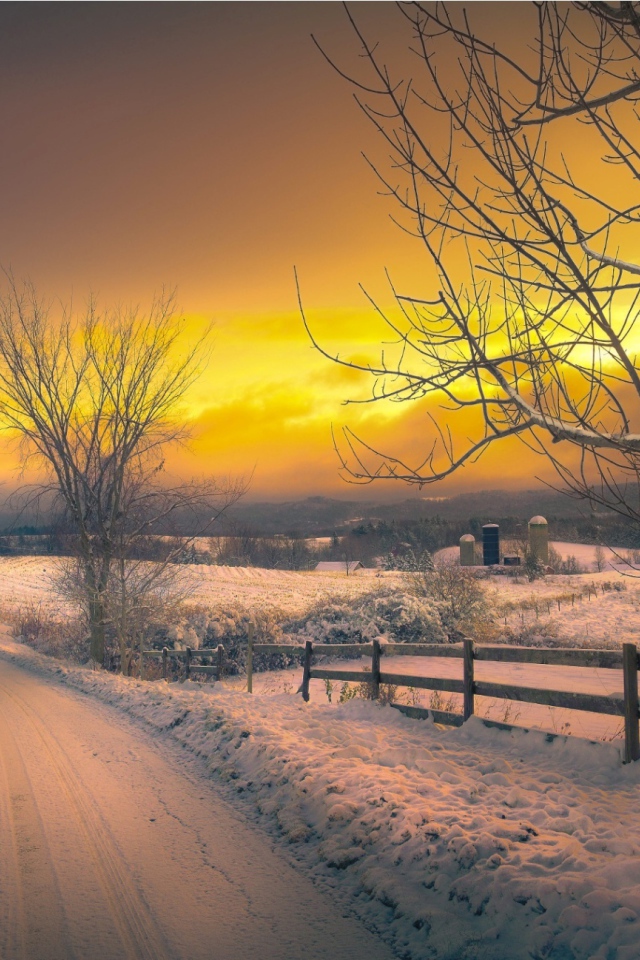 Желтый зимний закат