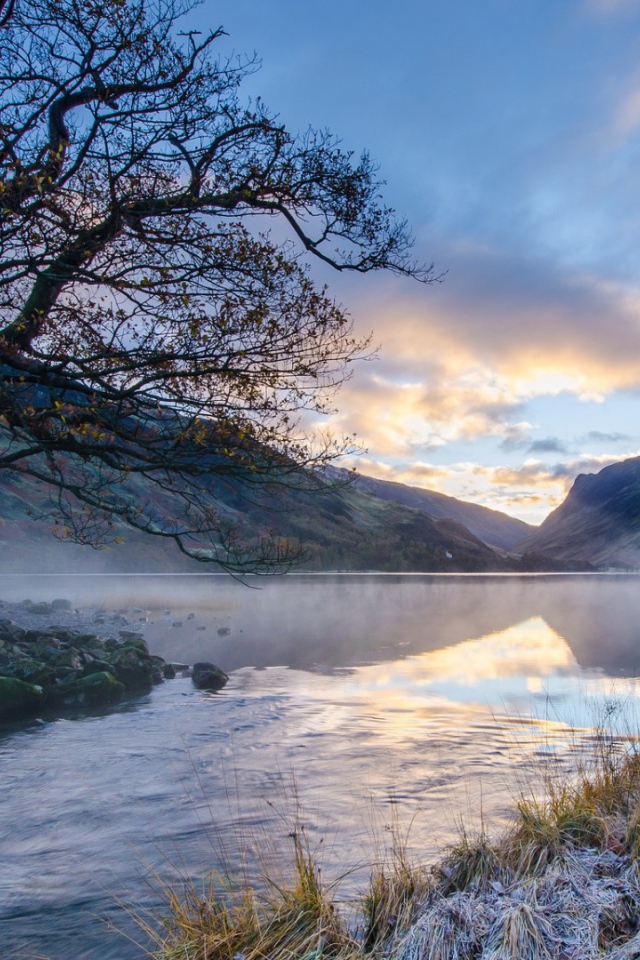 Ил на берегу