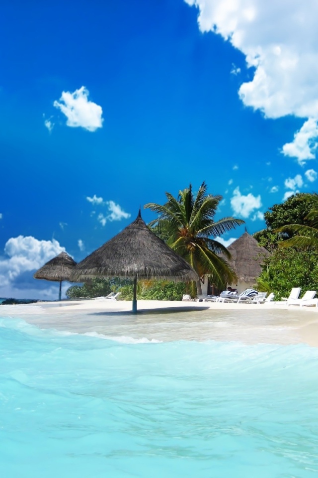 Жизнь пляжа