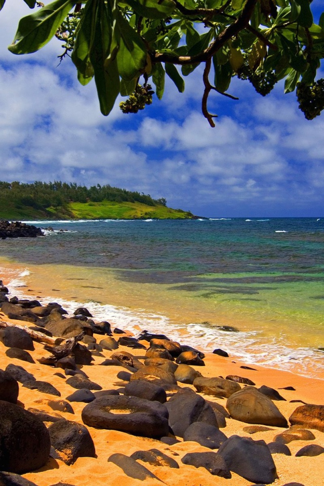 Пляж на Гавайях 