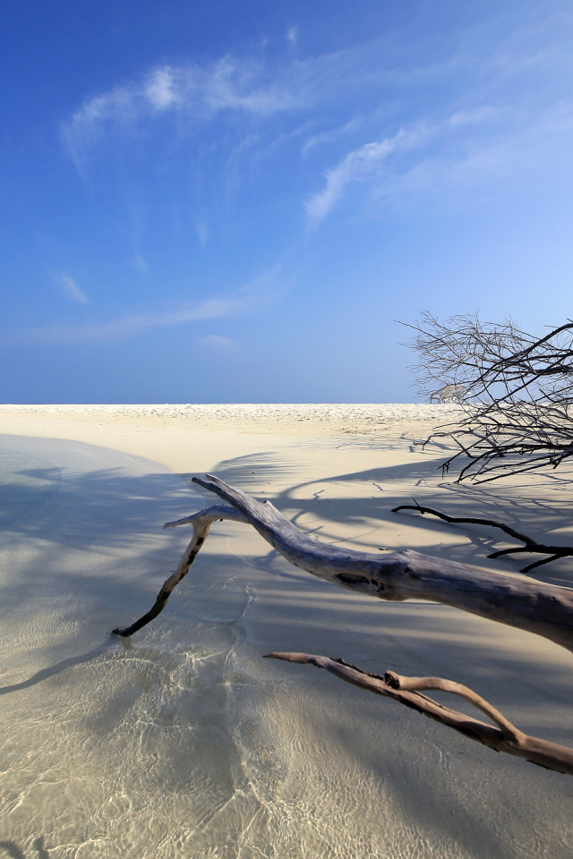 Красивый пляж под голубым небом