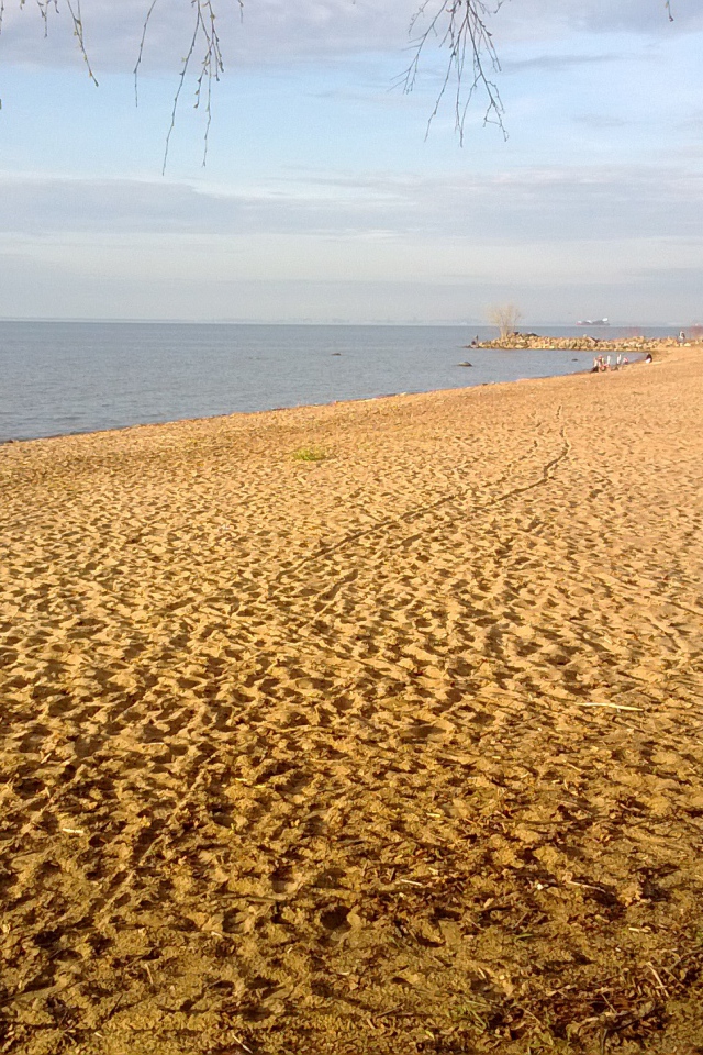 Красивый вид на золотой пляж