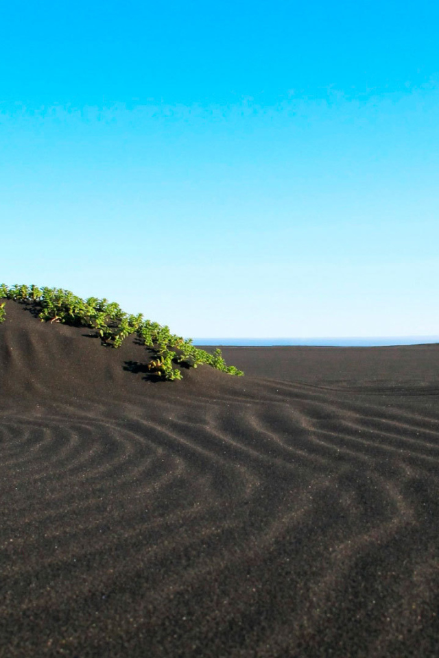 Пляж с черным песком