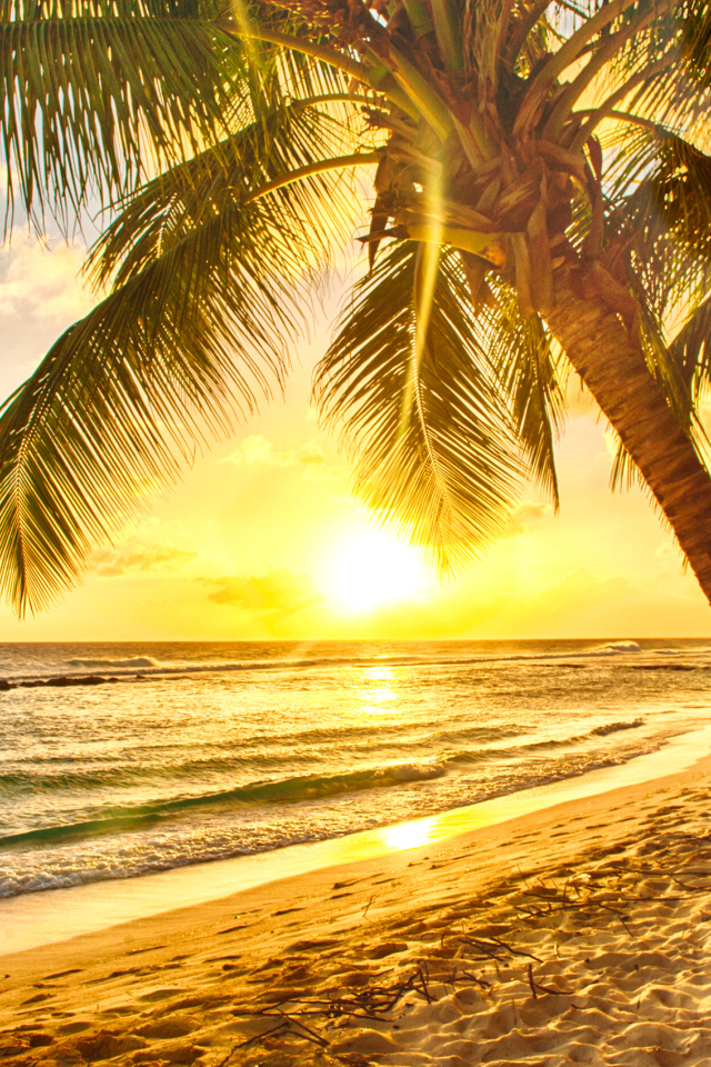 Рассвет на пляже