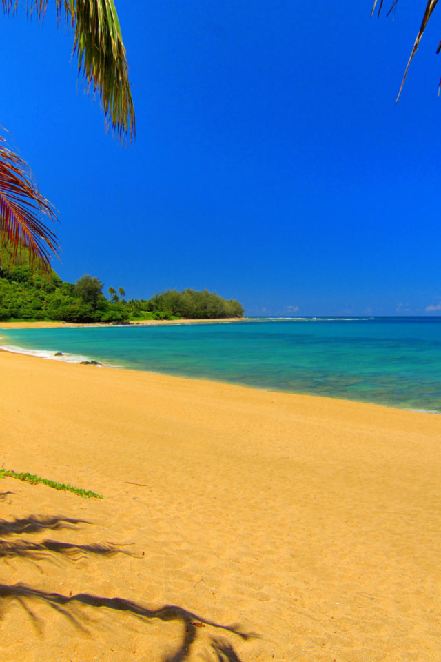 Золотой пляж на Крите