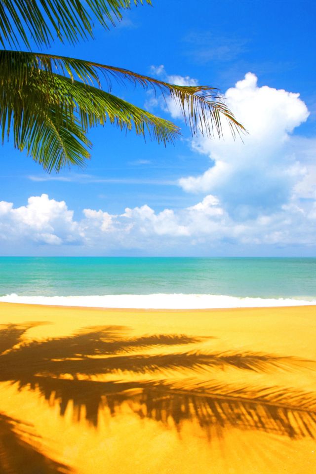 Пальма на желтом пляже