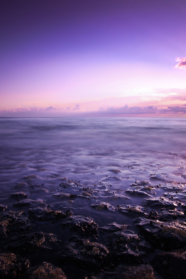 Фиолетовое небо