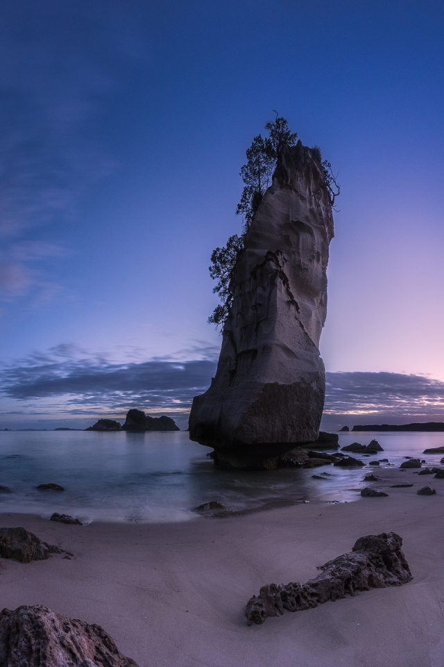 Скала у пляжа