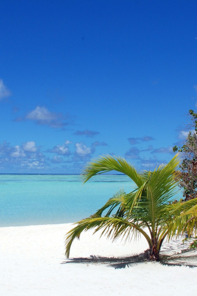 Пляж на Мальдивах