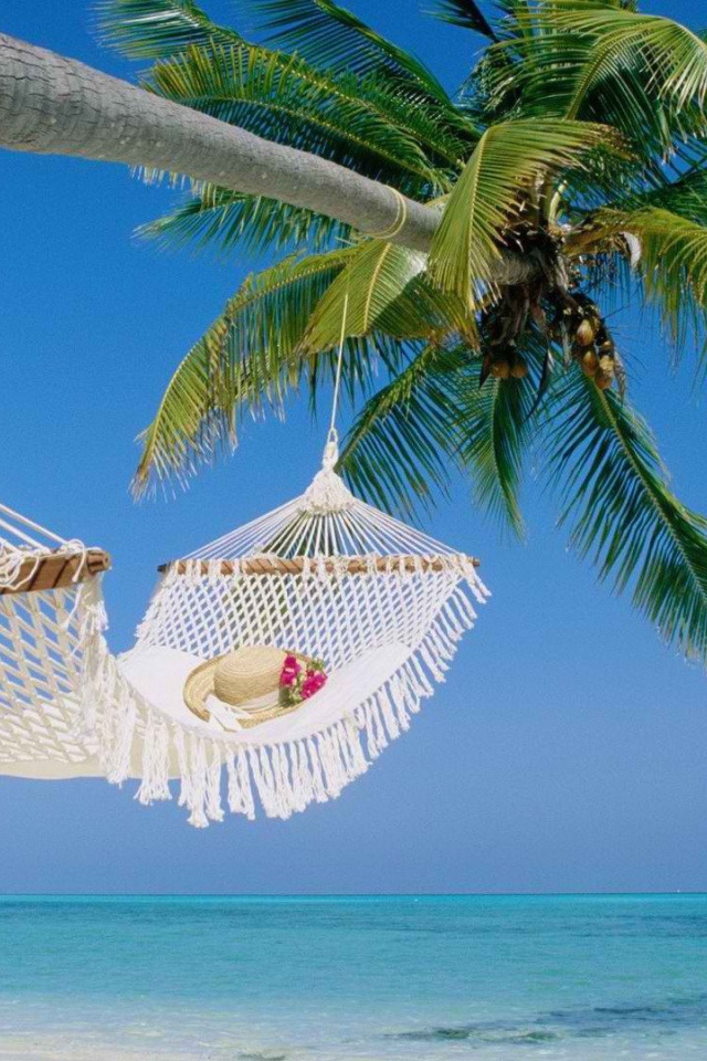 Гамак на пальме