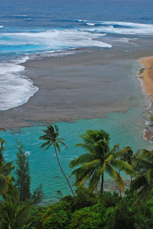 Дикий пляж у моря