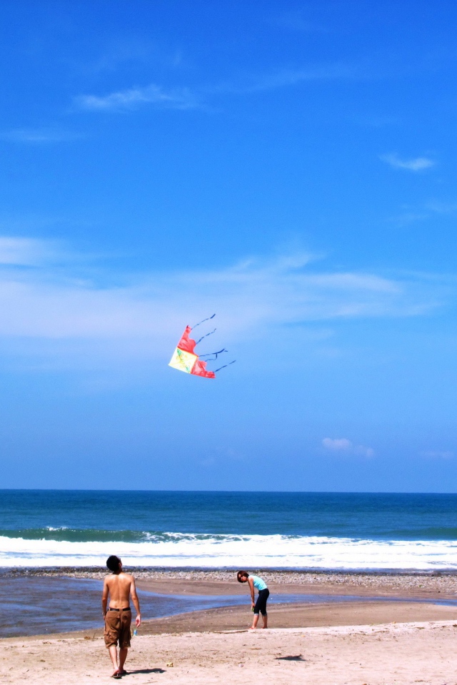 Запуск воздушного змея