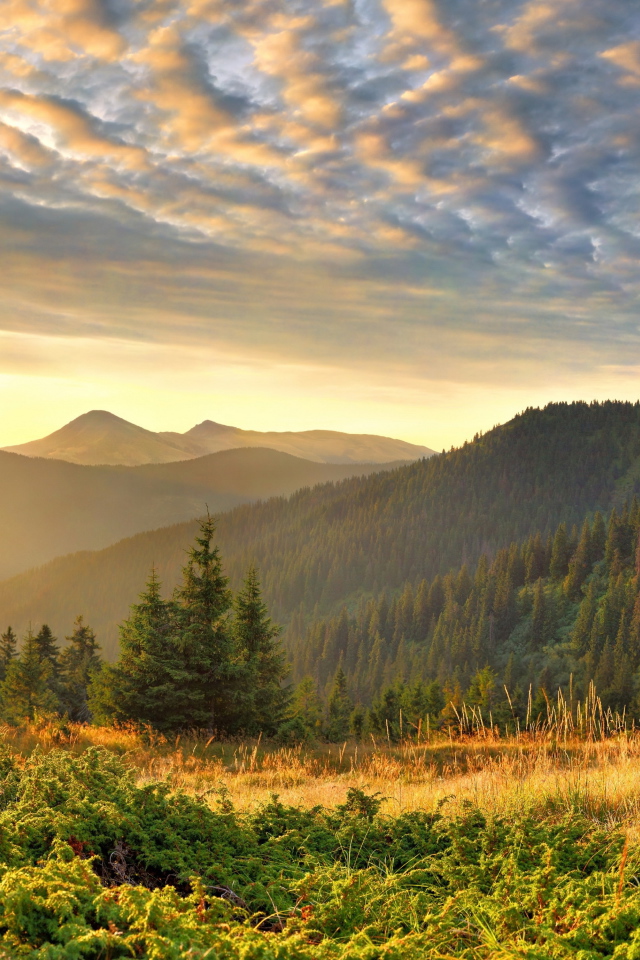 Облака в горах