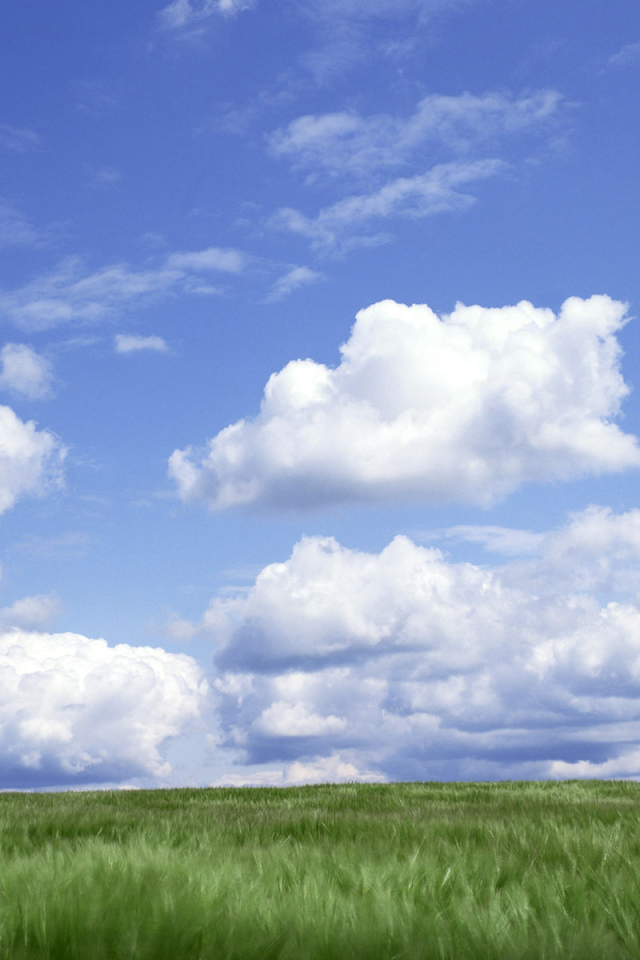 Облака над полем