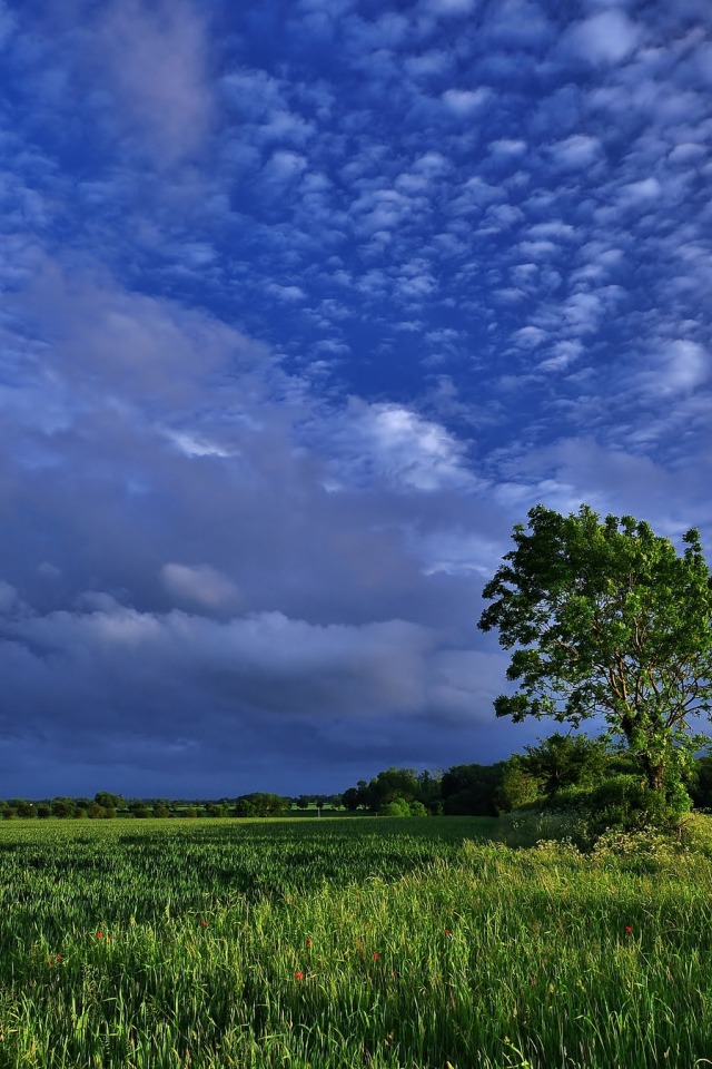 Облачное небо