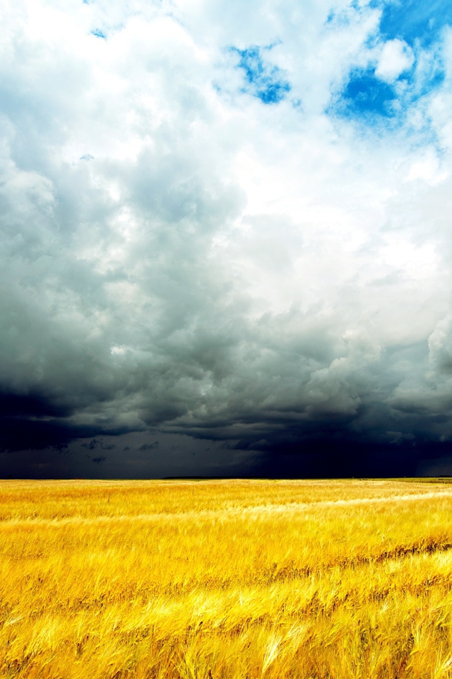 Грозовые облака