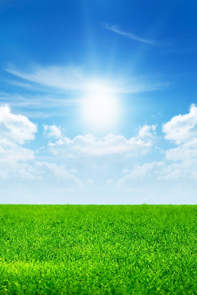 День солнечного света