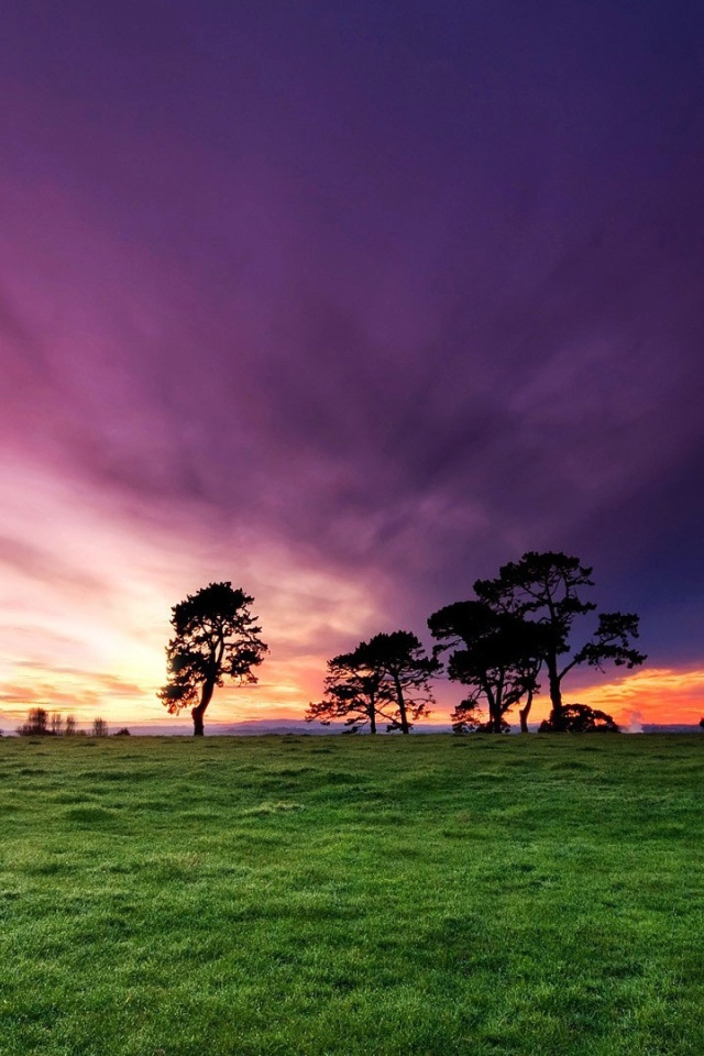 Утренние лучи солнца