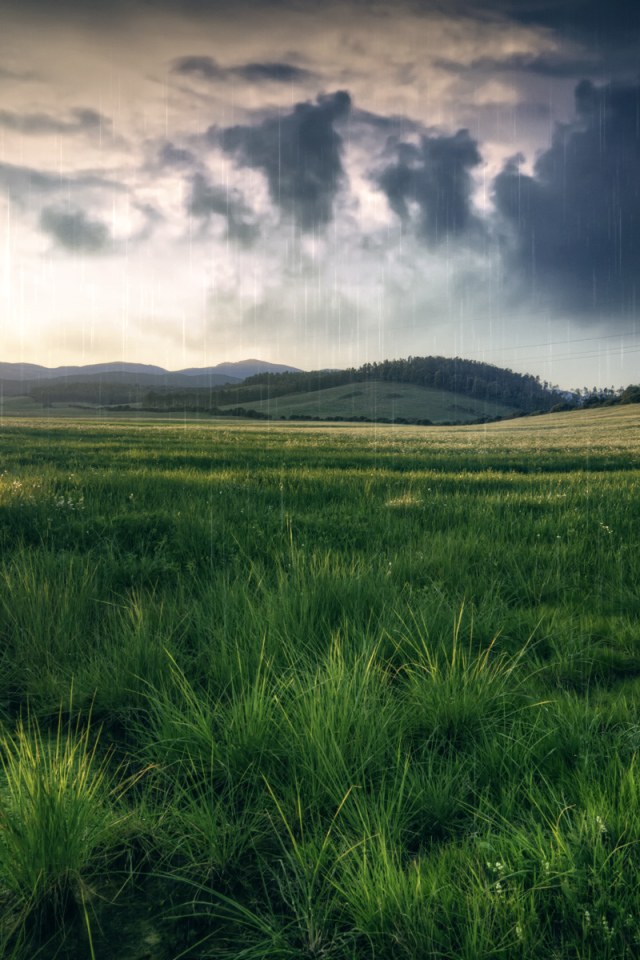 Черные тучи над полем