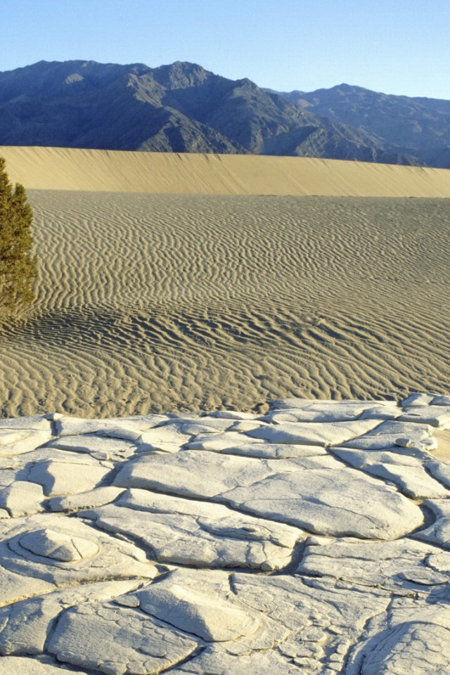 Пустынный пейзаж с горами