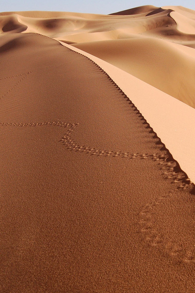 Следы на песке в пустыне