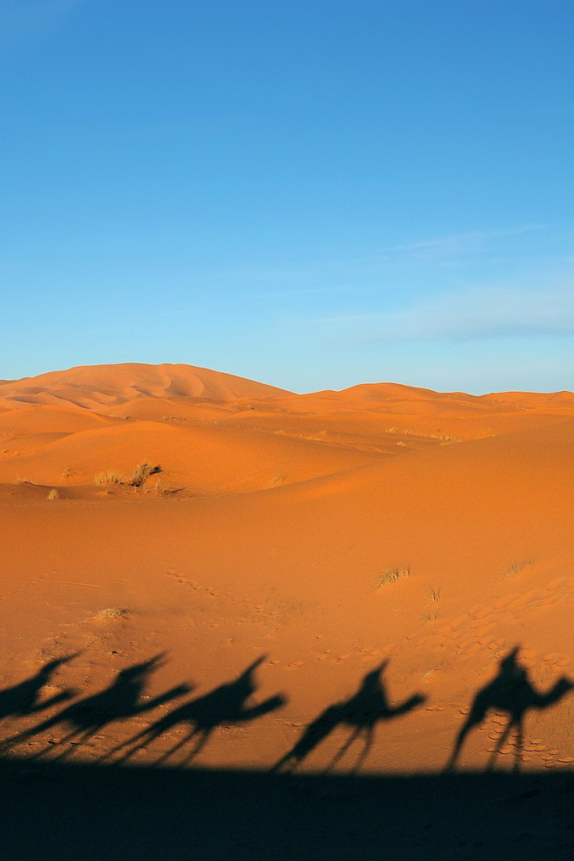 Тени каравана в пустыне