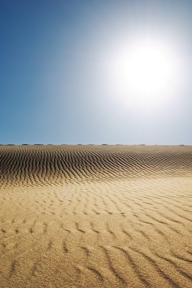 Солнечная пустыня 