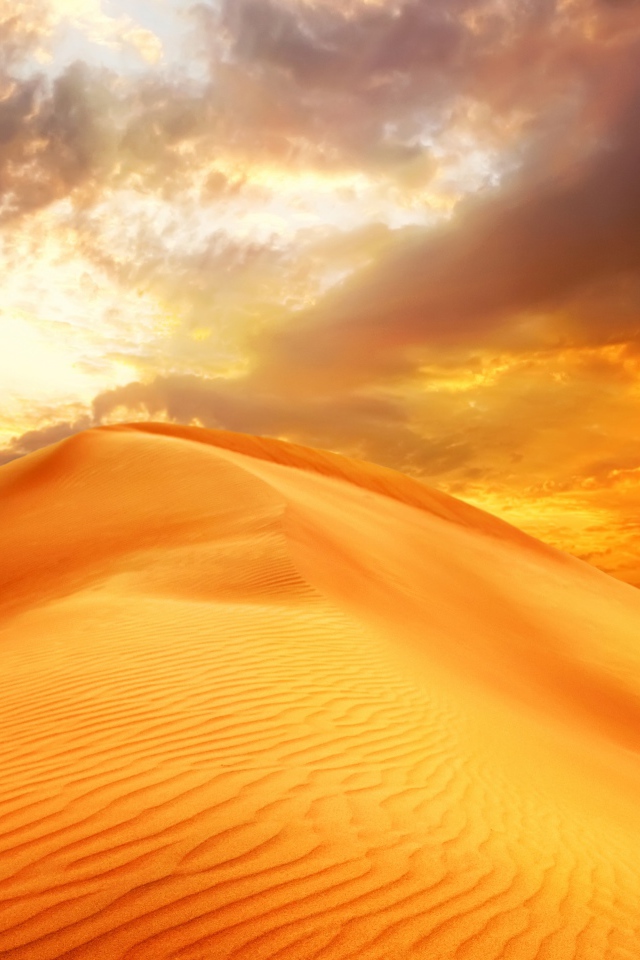 Золотой песок пустыни