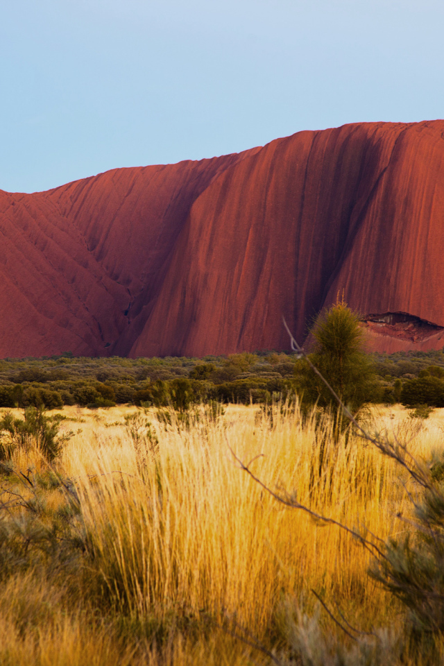 Пустыня в Австралии