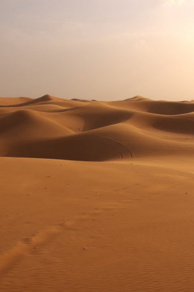 Следы на песке