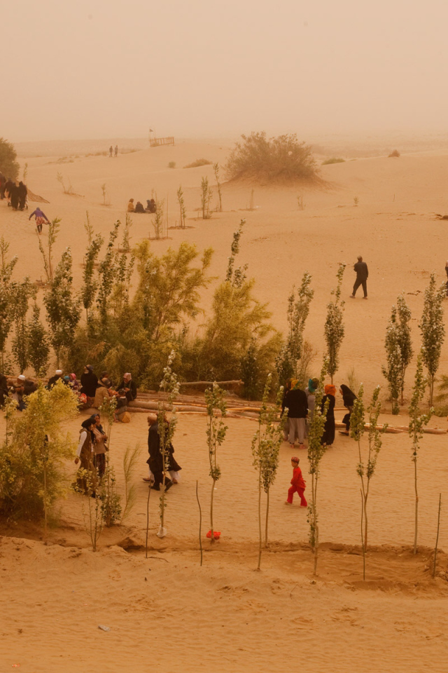 Жизнь в пустыне