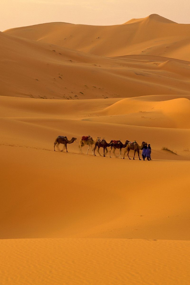 Морокко пустыня сахара