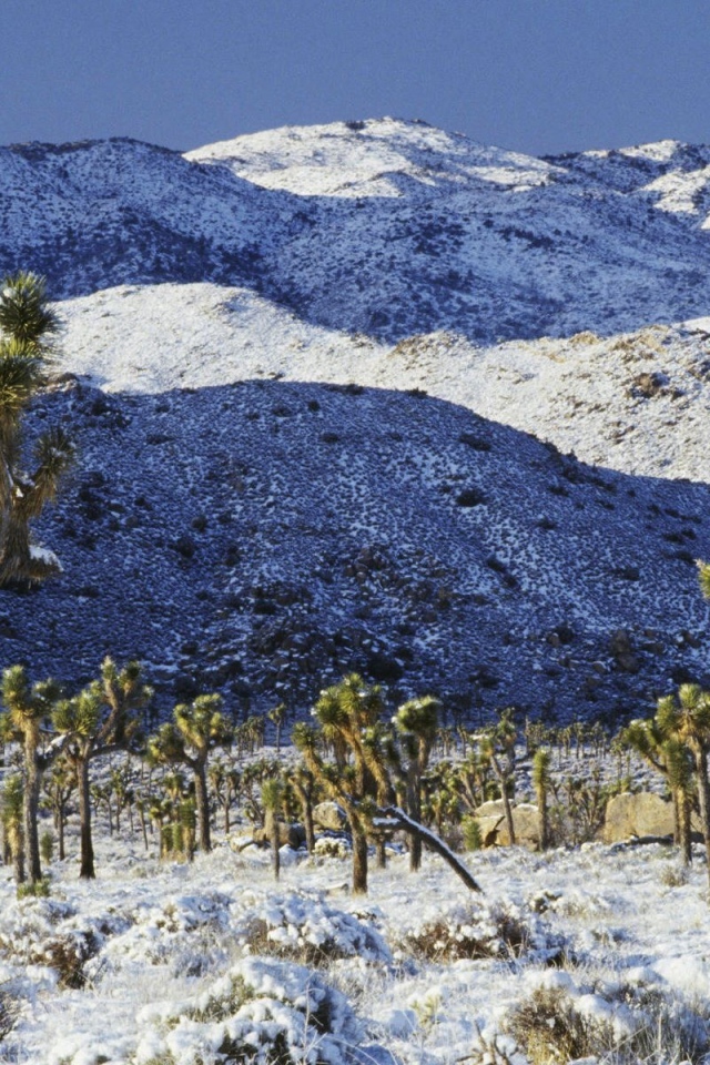 Покрытая снегом пустыня