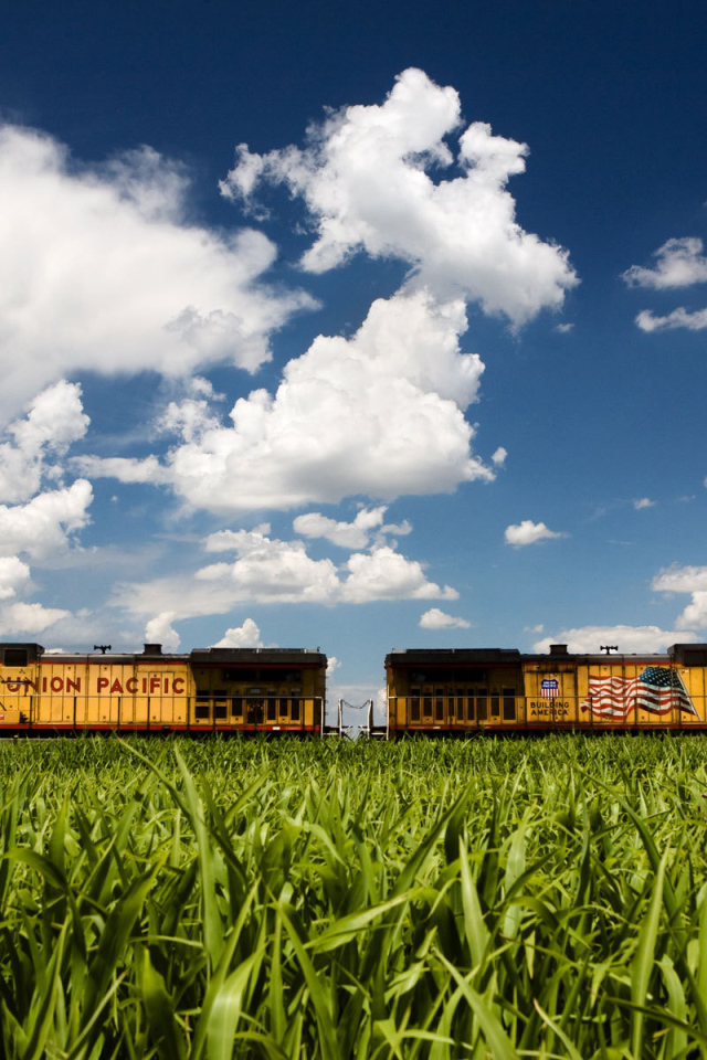 Американские вагоны