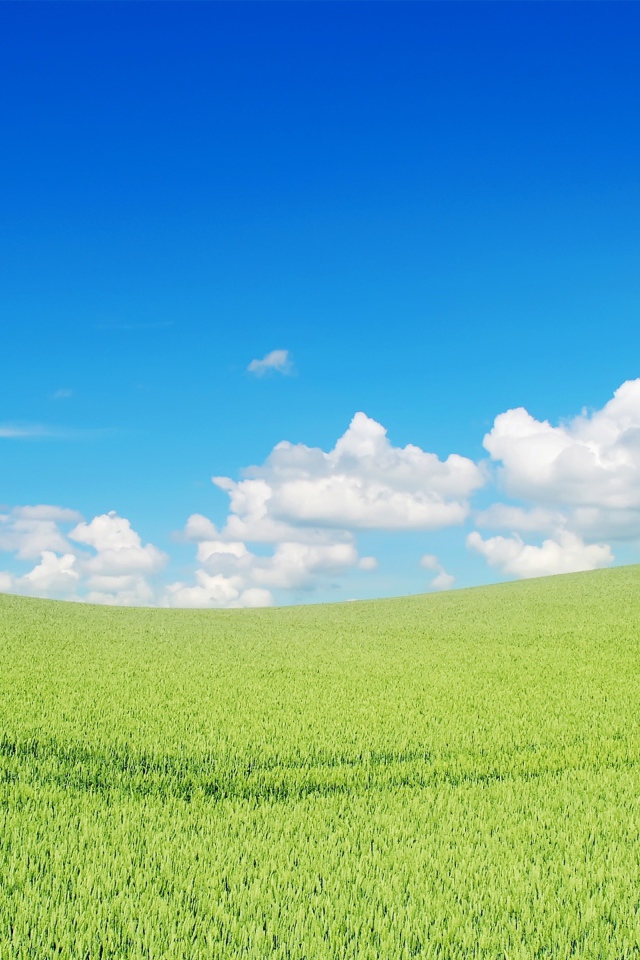 Прекрасный зеленый пейзаж