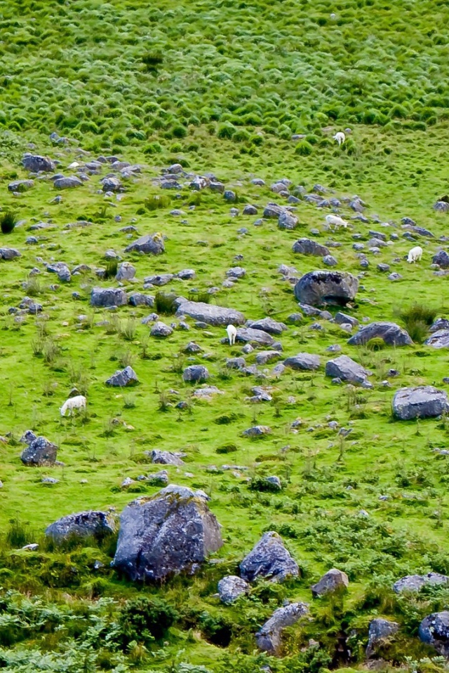 Английская природа