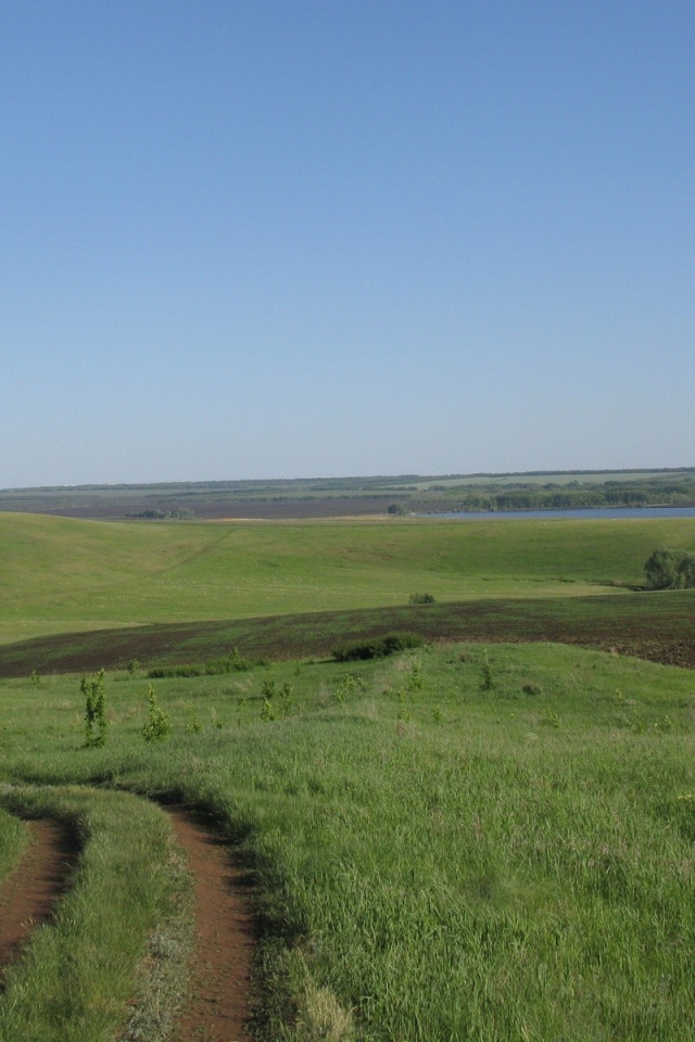 Поле и река