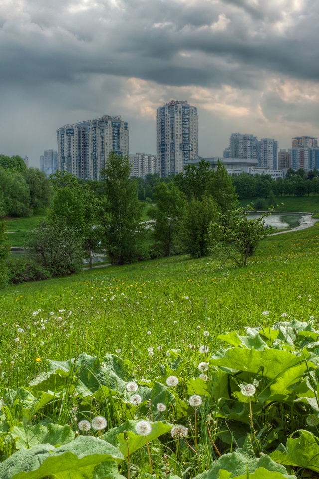 Поле на окраине города
