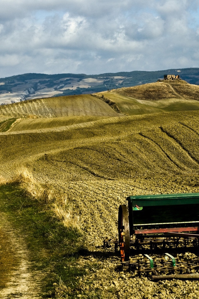 Засеянное поле весной