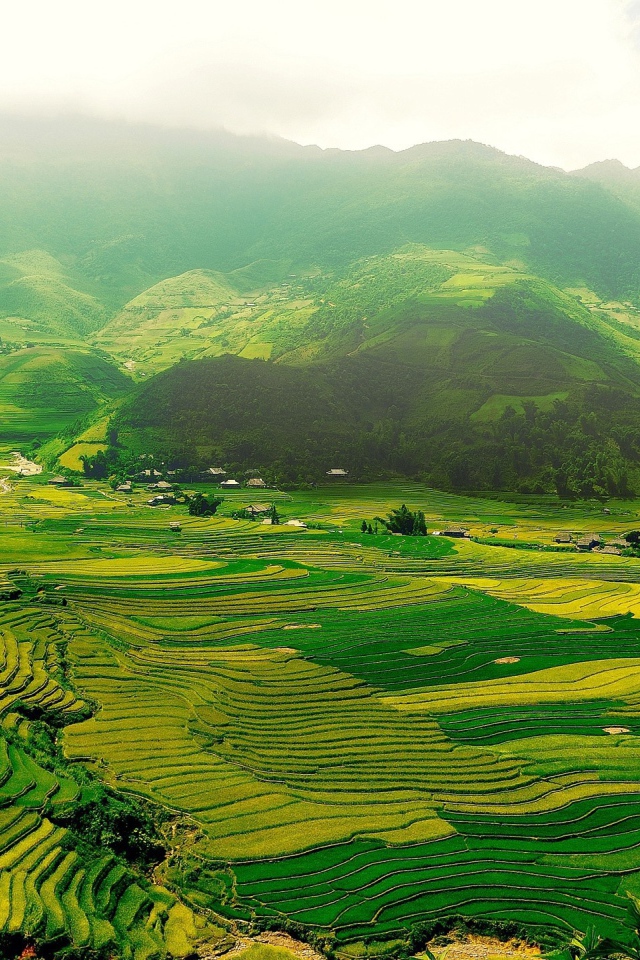 Зеленые поля в горной долине