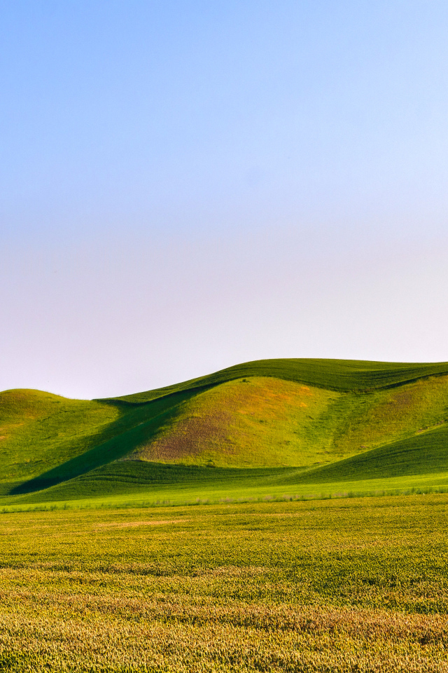 Зелёные волнистые поля