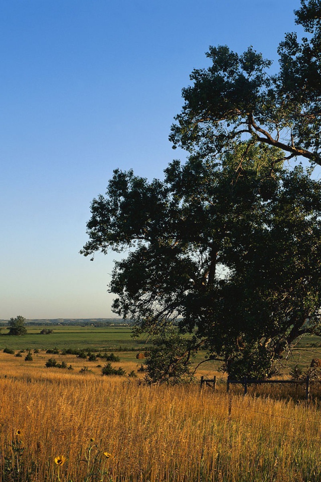 Пейзаж России