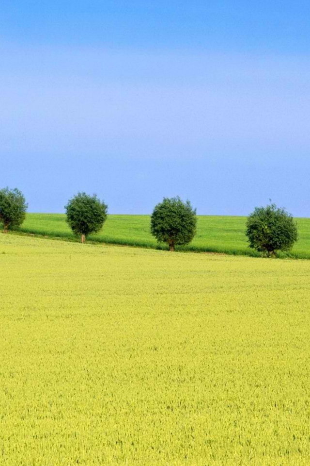 Природа Швеции