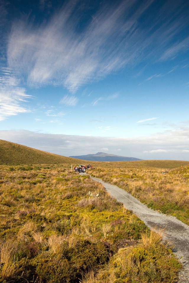 Пейзаж в Новой Зеландии