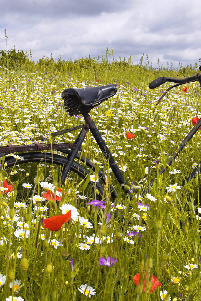 Старый ржавый велосипед