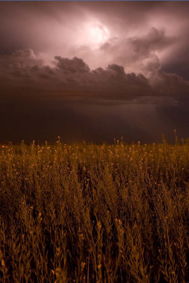 На поле надвигается гроза