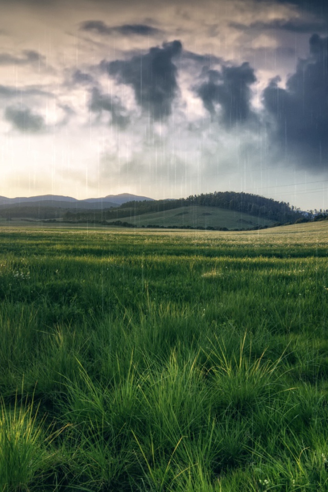 Весенний пейзаж