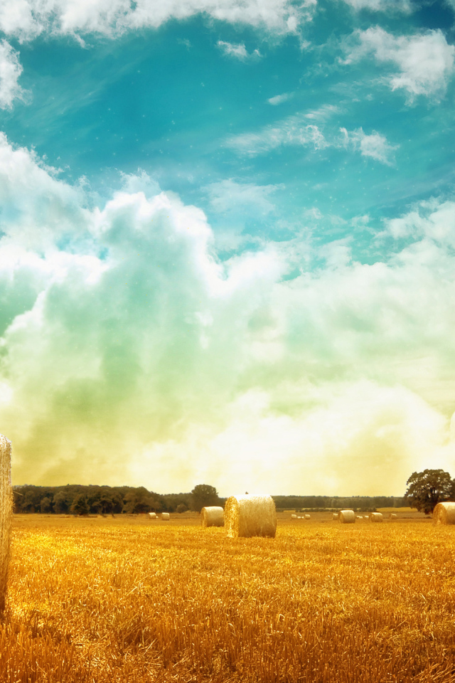 Скошенное поле