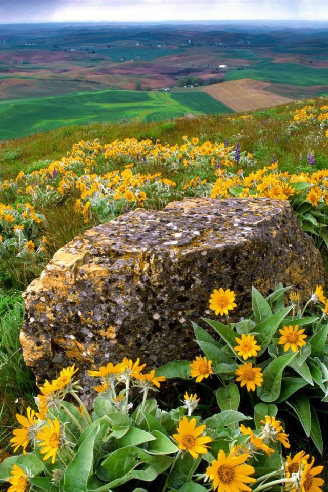 Пейзаж штата Вашингтон